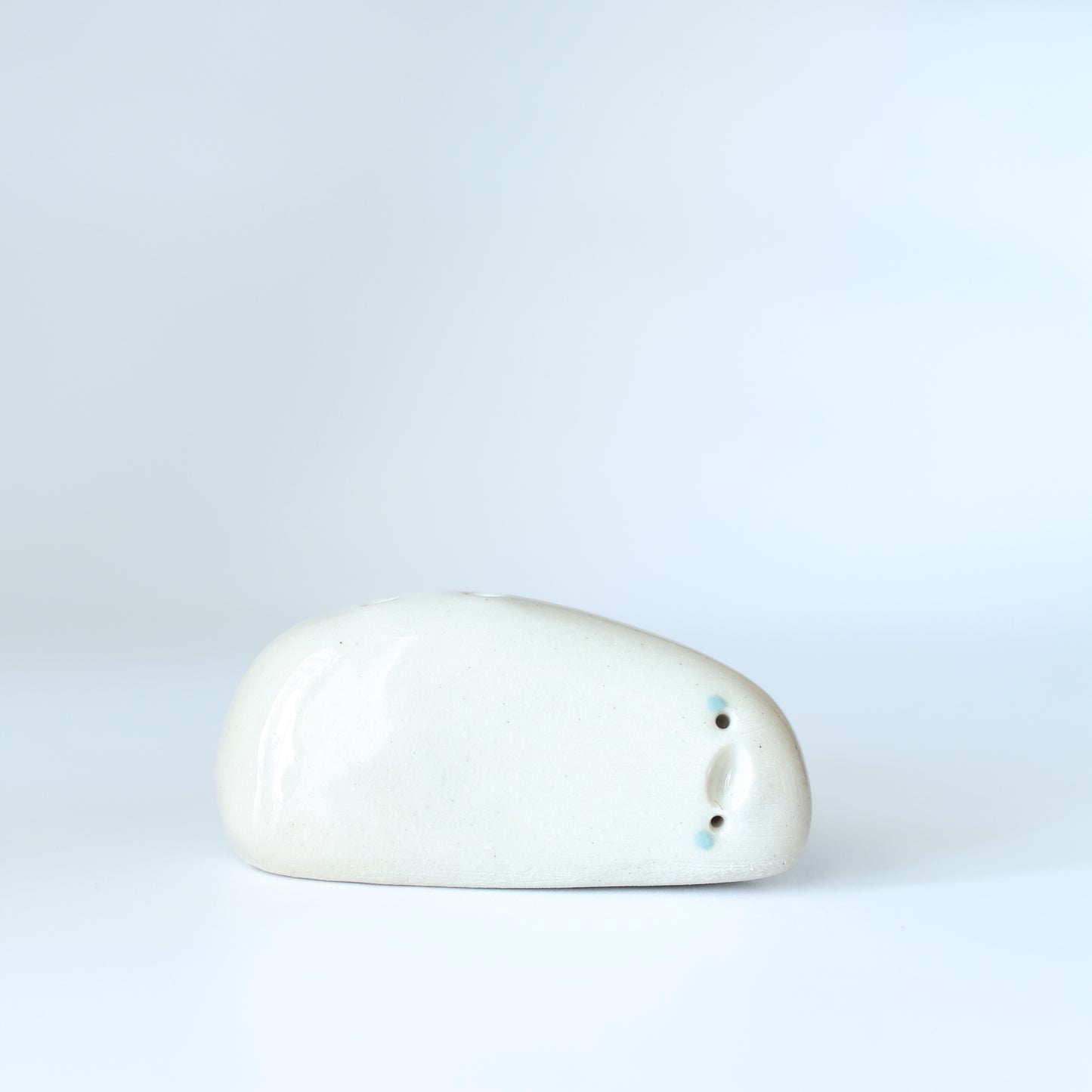 Sera "the funny" pebble