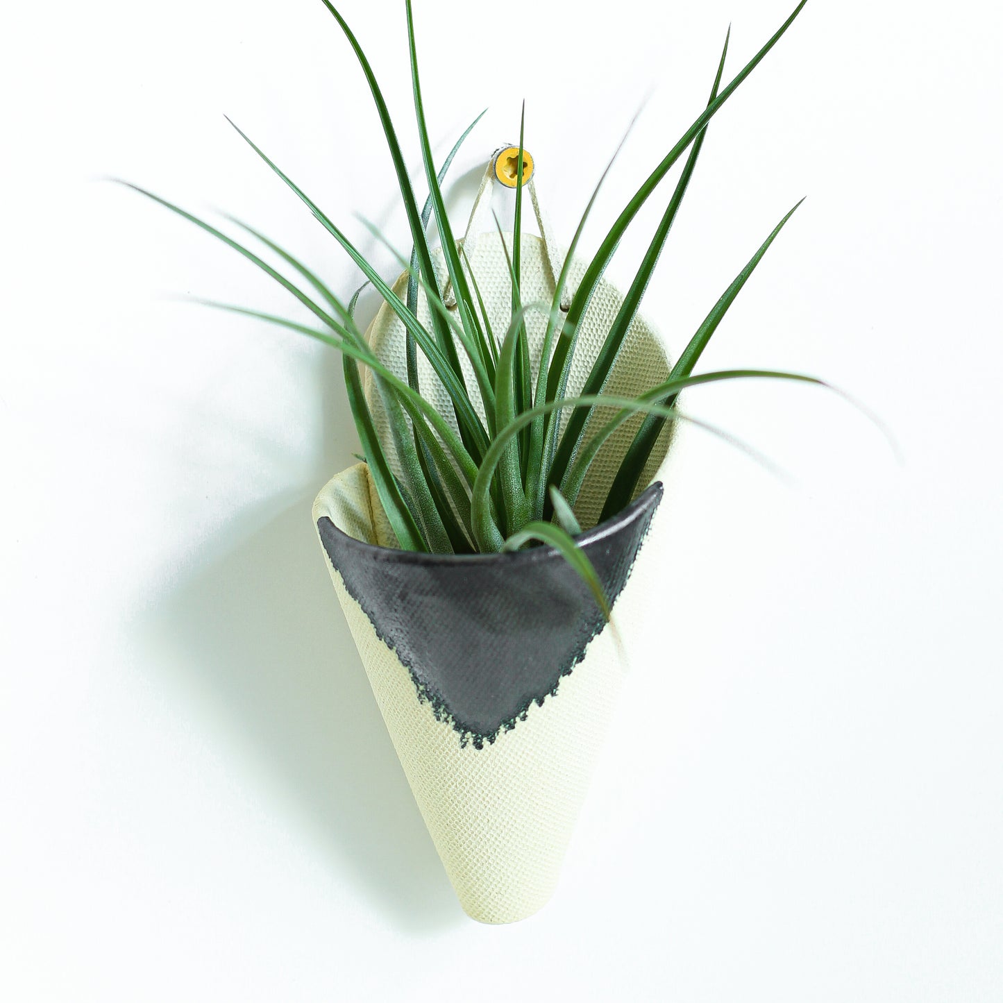 Ceramic Cones