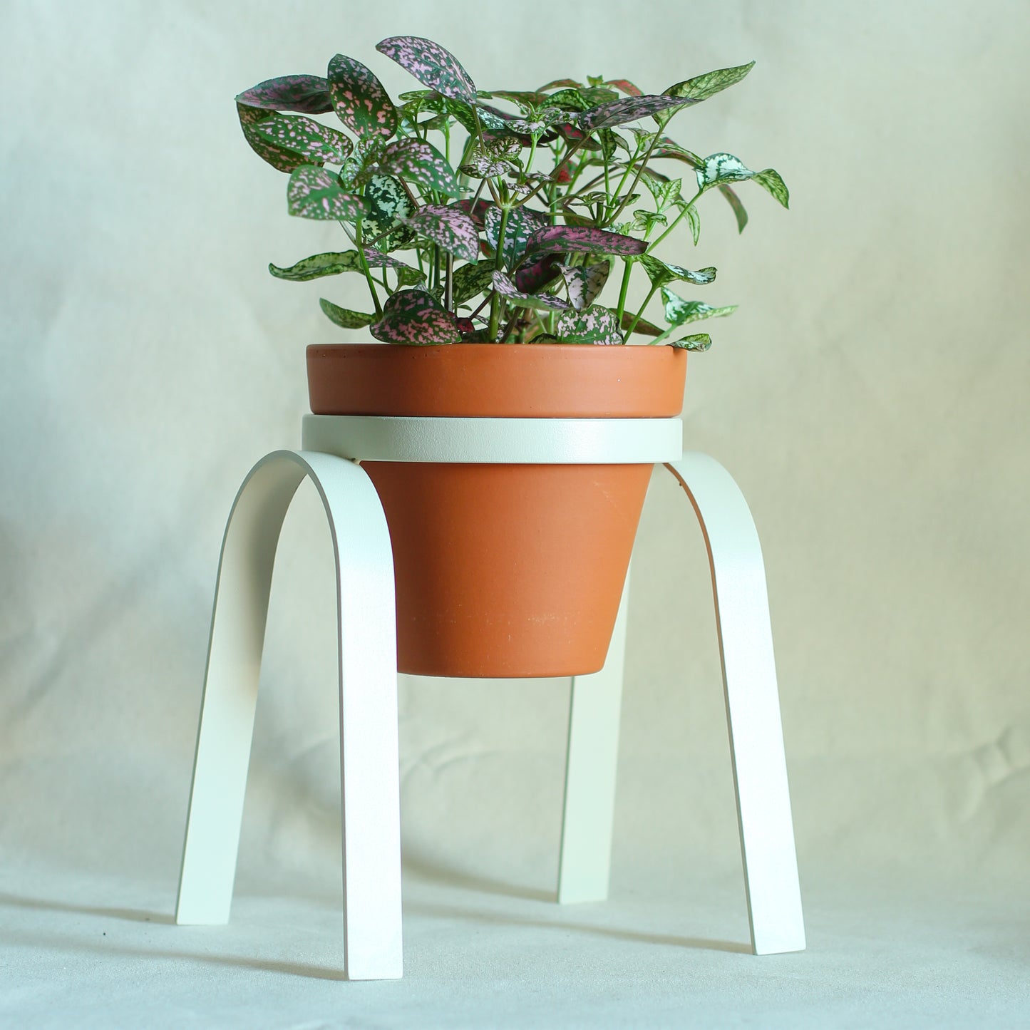 The Perch, Steel & Ceramic Planter