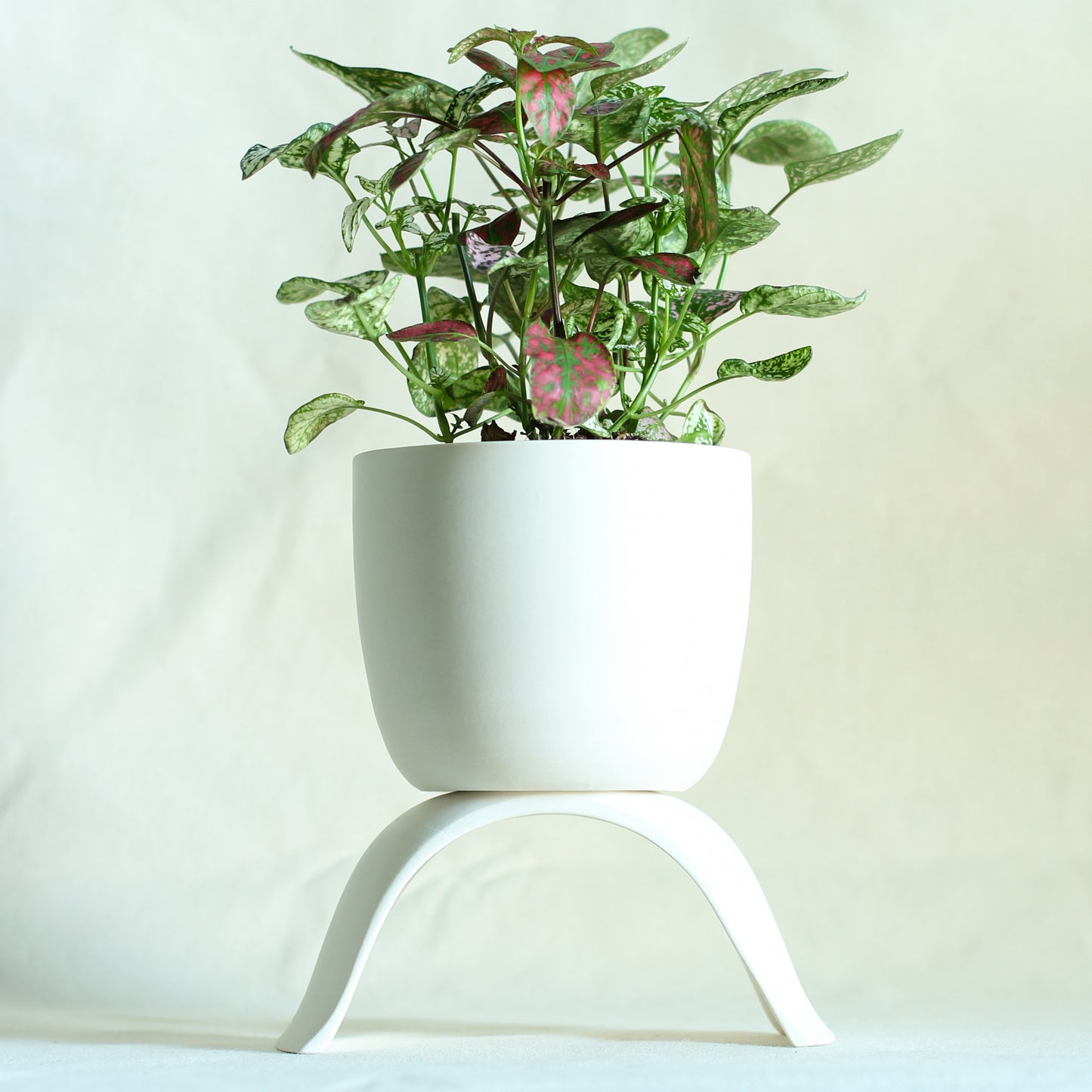 High Rise Planter