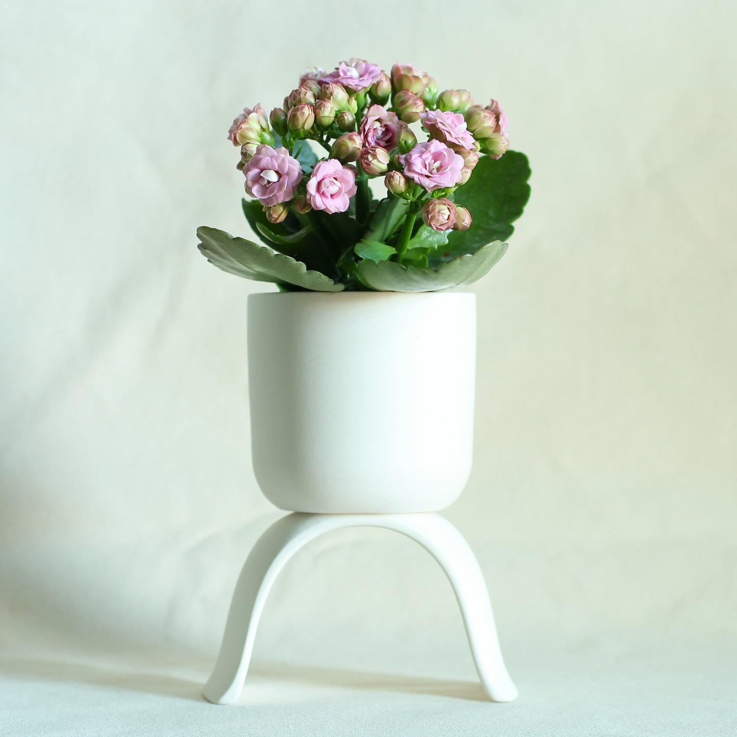 High Rise Planter