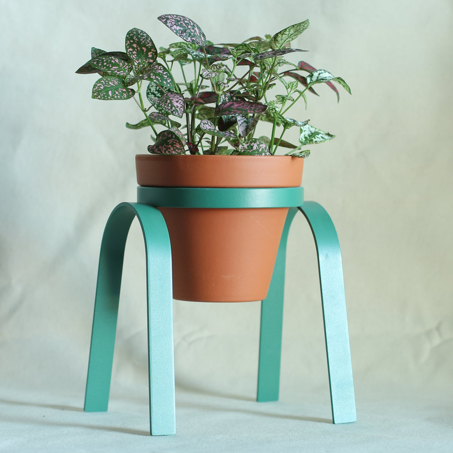 The Perch, Steel & Ceramic Planter